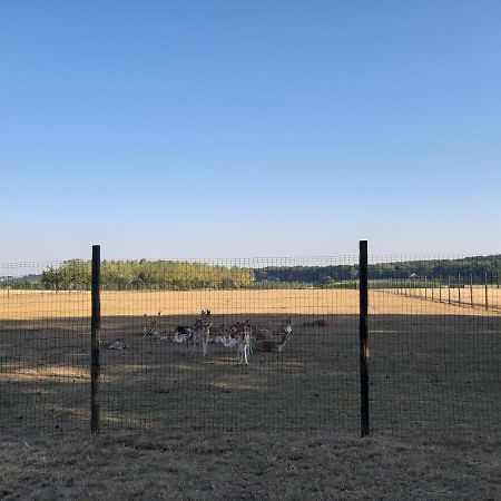 Lemen Huis Houwaart Tielt エクステリア 写真