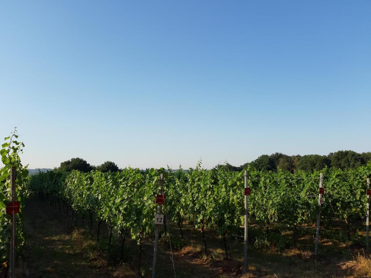 Lemen Huis Houwaart Tielt エクステリア 写真