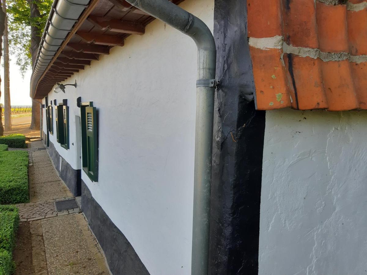 Lemen Huis Houwaart Tielt エクステリア 写真